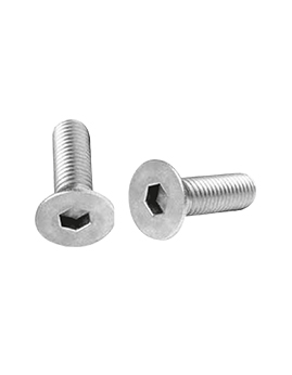 INOX M8 X25 MM IMBUS BOLT